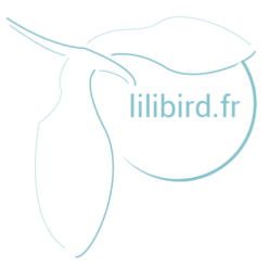 Lilibird